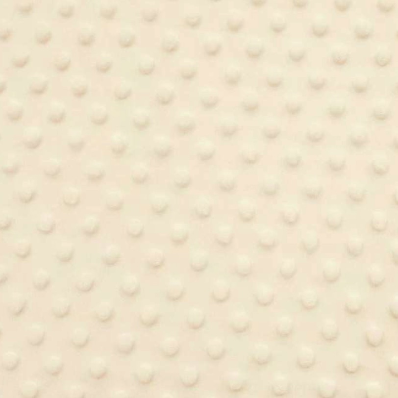 Interior minky beige